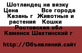 Шотландец на вязку › Цена ­ 1 000 - Все города, Казань г. Животные и растения » Кошки   . Ростовская обл.,Каменск-Шахтинский г.